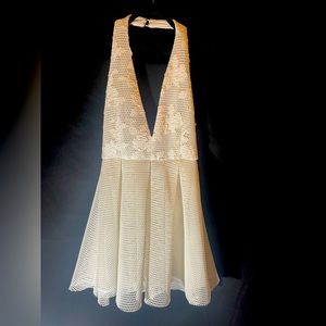 Floral & Fishnet Dress